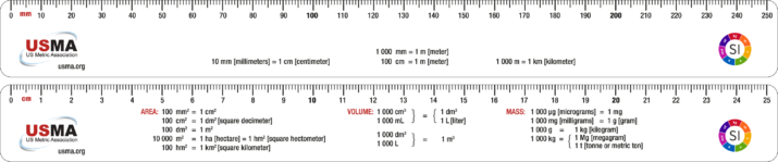 Image of a 250 mm plastic ruler